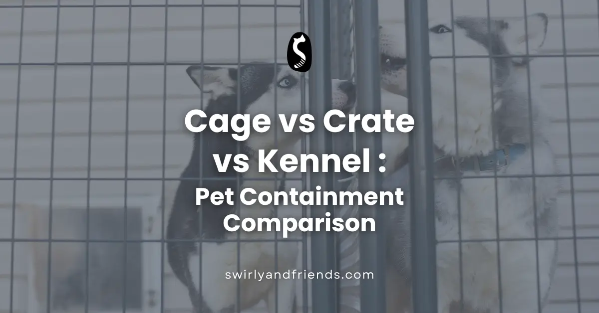 Cage vs Crate vs Kennel Pet Containment Comparison
